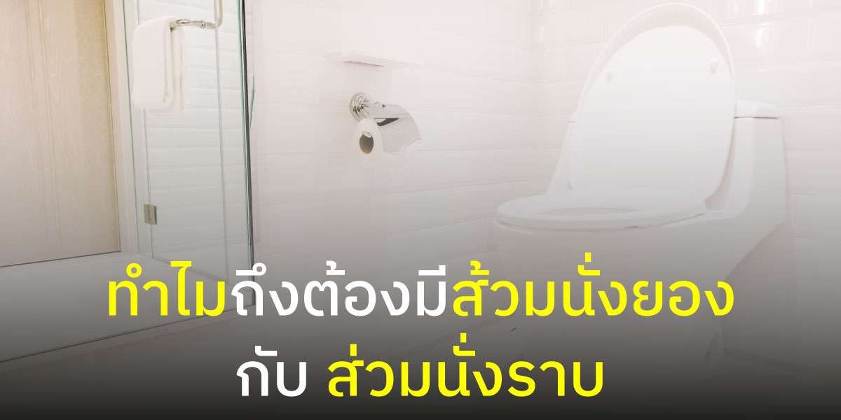 ทำไมถึงมีส้วมนั่งยอง กับ ส้วมนั่งราบ ?