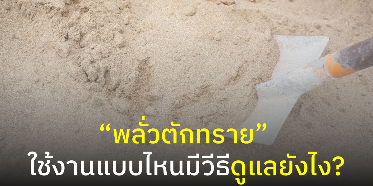 พลั่วตักทรายใช้งานแบบไหนมีวีธีดูแลยังไง?