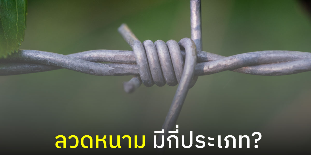 รู้หรือไม่? ลวดหนาม มีกี่เภท