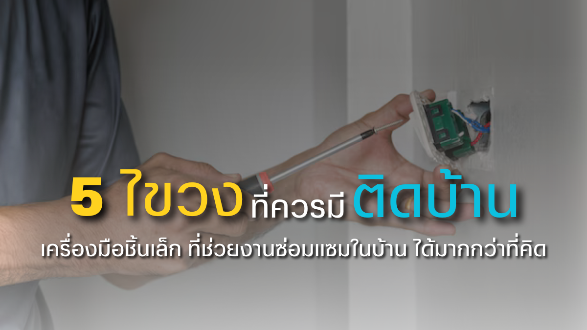 5 ไขควงที่ควรมีติดบ้าน