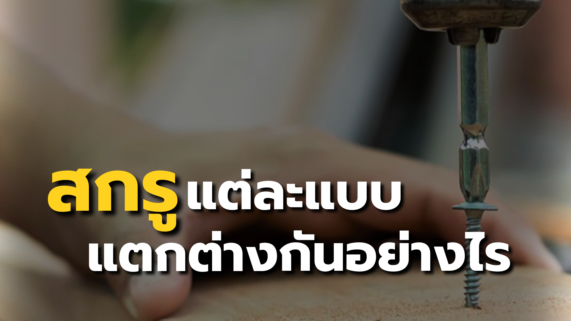 สกรูแต่ละแบบแตกต่างกันอย่างไร?