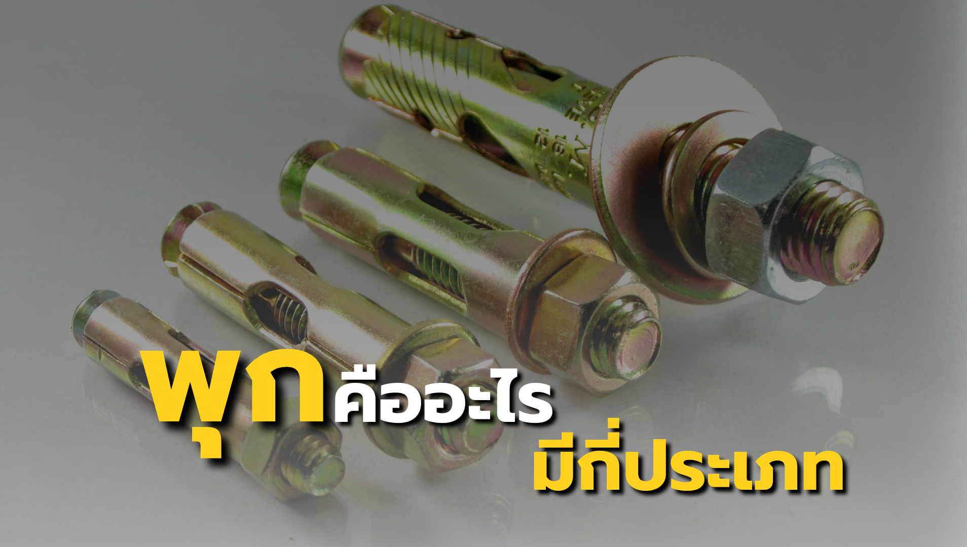 พุกมีกี่ประเภท? รู้จักพุกแต่ละแบบ เลือกให้เหมาะกับงาน